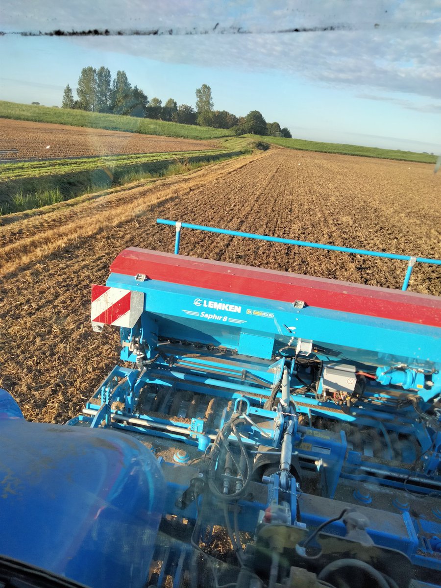 bart_dalen's tweet photo. De #groenbemesters zitten er ook weer in !🌱☘️🌾🌻 https://t.co/xQDrgpKGgj
