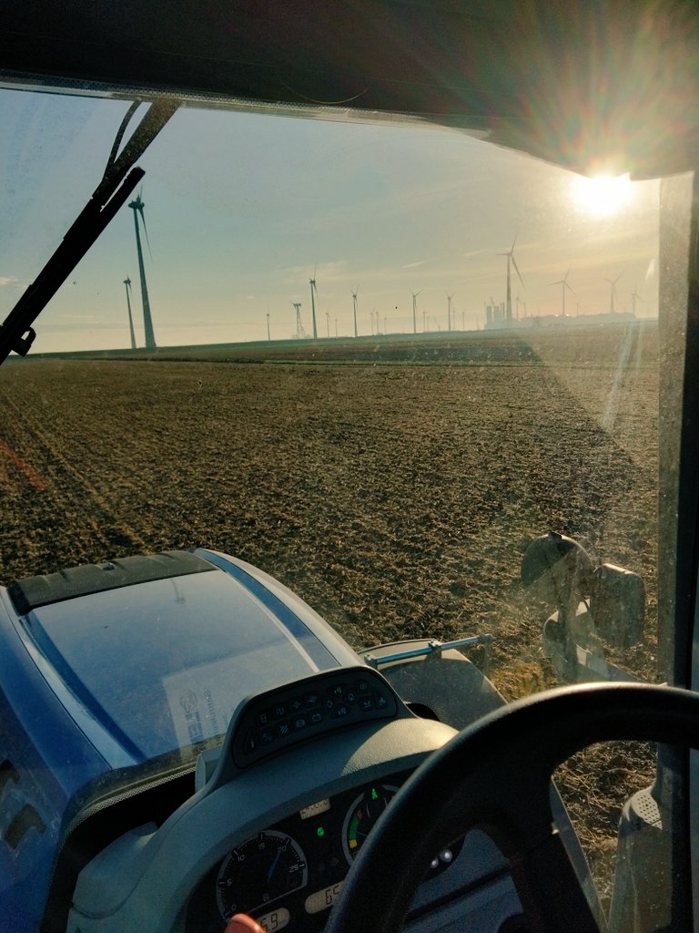 bart_dalen's tweet photo. De #groenbemesters zitten er ook weer in !🌱☘️🌾🌻 https://t.co/xQDrgpKGgj