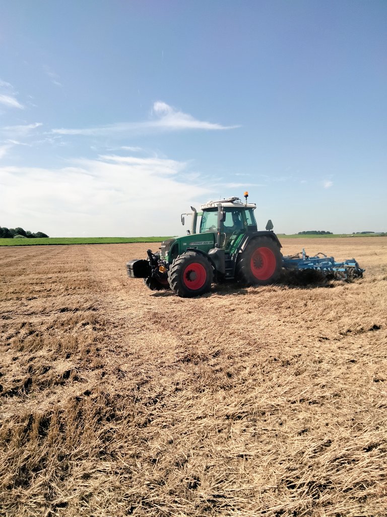 bart_dalen's tweet photo. De #groenbemesters zitten er ook weer in !🌱☘️🌾🌻 https://t.co/xQDrgpKGgj