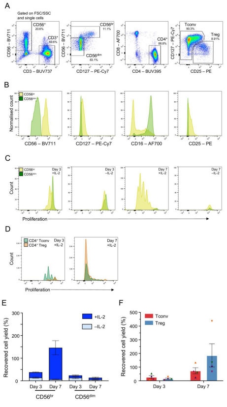 discovimmunol's tweet photo. #CD56 bright #NaturalKiller cells preferentially kill proliferating CD4 + T cells
Mercede Lee et al. @HumanGeneticsOx @OxfordBRC discuss an #InVitro co-culture assay with activated CD4 + #Tcells to measure #NKcell killing efficiency
Free access 👉https://t.co/T25sMF7GpM https://t.co/QFyMLjMXYY