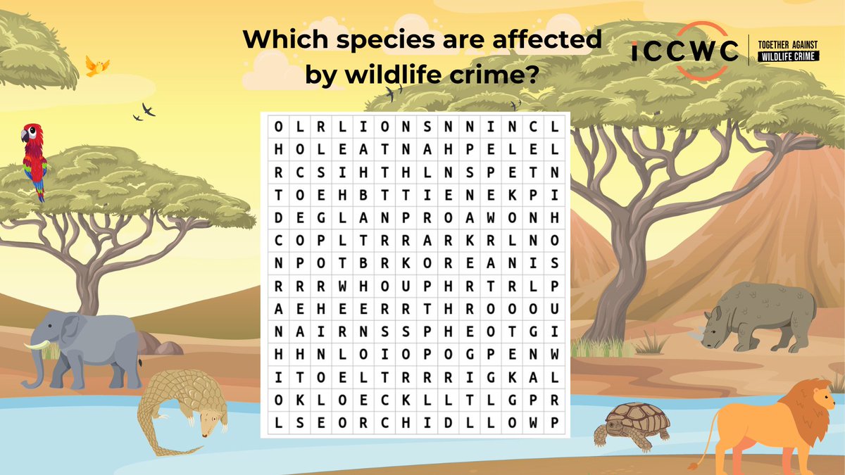 Which species are affected by wildlife crime? 🦜🐢🦏🐯🐘🌺 How many words can you find? Comment below! ✏️ Visit the #ICCWC website for clues & more info: iccwc-wildlifecrime.org #TogetherAgainstWildlifeCrime