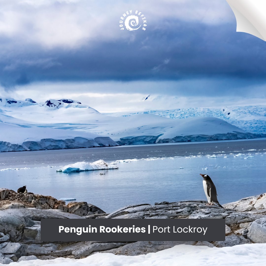 JBefikar's tweet photo. Where icebergs dance and whispers freeze,
Antarctica's magic, a dream to seize.
In frozen beauty, we'll take our flight,
A land of wonder, where day turns night. ❄️✨🌌

- When Snowman become Poet 👻
#antarctica #travel #penguins #nature #antarcticadventure #wildlife #greece https://t.co/LBGLAZ9GMS