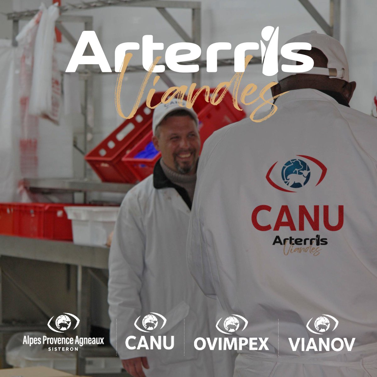 [🎙Témoignage]
« En ce moment sur le MIN de Rungis (94), le ris de veau à la côte ! C’est le plus beau morceau que l’on puisse trouver dans la triperie et qui est travaillé toute l’année par les restaurateurs. » Thomas Hue, Canu