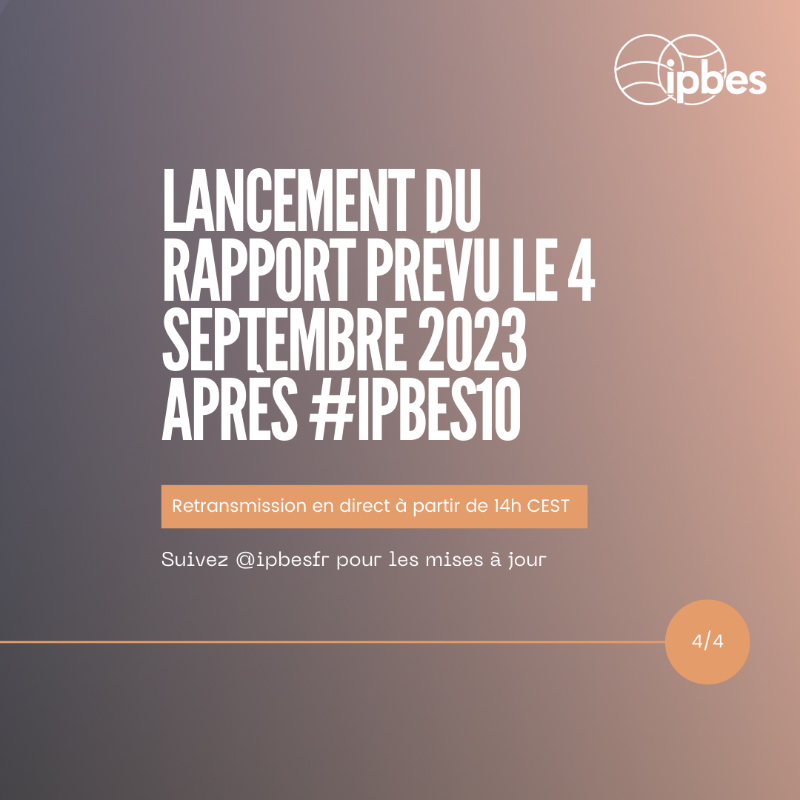 ipbesfr's tweet photo. Les #EspècesExotiquesEnvahissantes sont l'un des 5 principaux moteurs directs de la perte de #biodiversité.🌏

Le lancement du rapport de l'@IPBES sur ces espèces le 4 Sept., après #IPBES10, offrira des infos essentielles.🔍

Curieux de connaître ses objectifs? Faites défiler!
