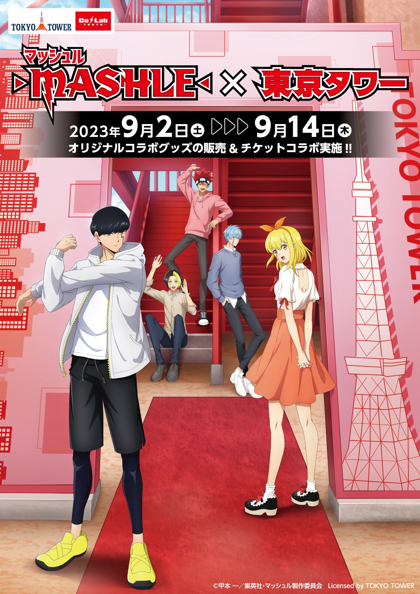 マッシュル グッズ まとめ売り マッシュル グッズ まとめ売り