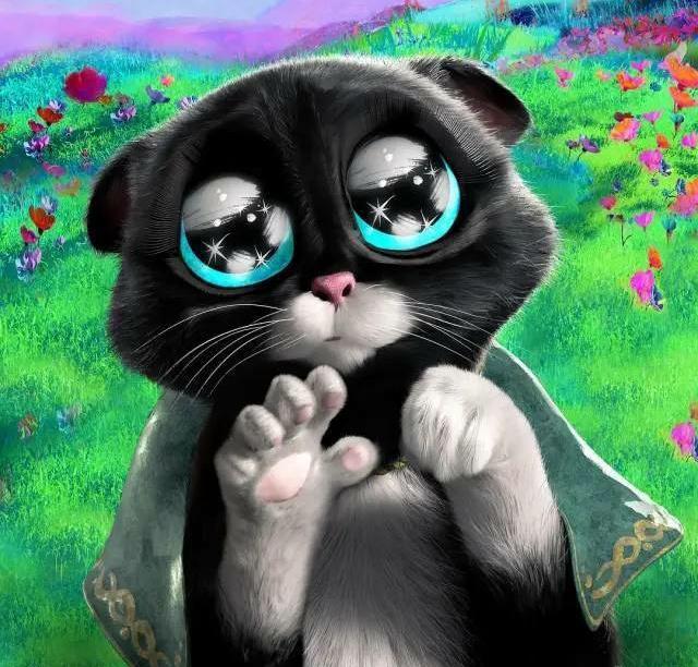 DailySoftpaws's tweet photo. Daily Kitty Softpaws https://t.co/BbXvsNSNcT