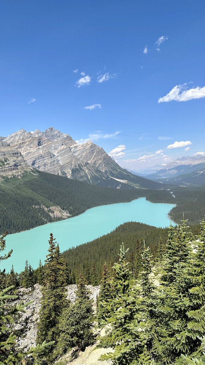 🇨🇦 Le magnifique lac Peyto au Canada caractérisé par sa forme de loup ! 🐺
☀️ Très bonne journée à tous ! 🍀

📸 Guillaume Pantanella