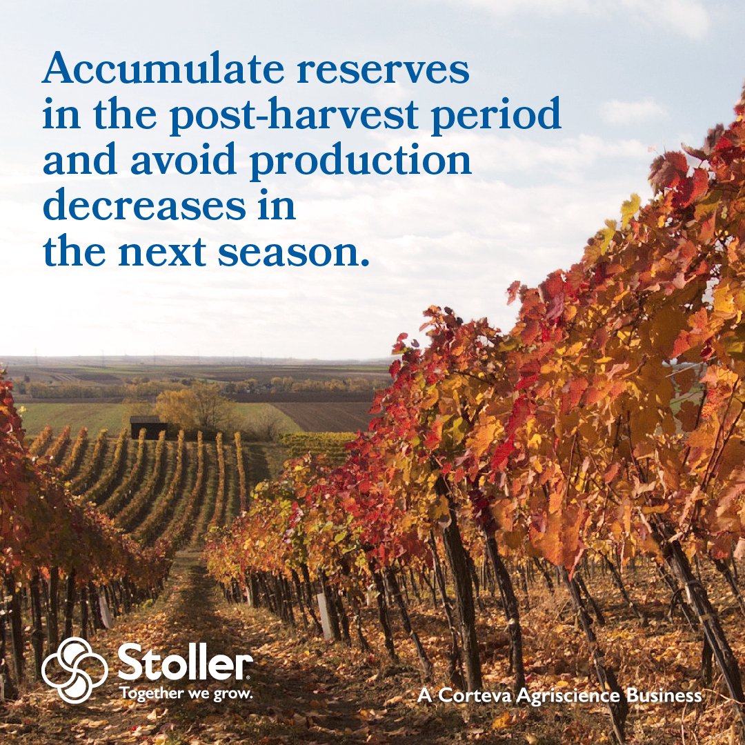 StollerEurope's tweet image. To achieve a good utilization of the inputs used throughout the season before the plants go into #dormancy, we at Stoller have developed #NBalancer. 🌿➡🌸

stollereurope.com/en/producto/n-…