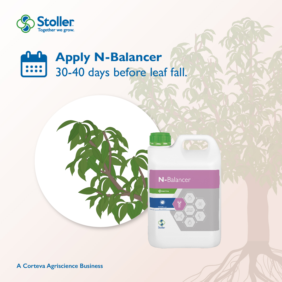StollerEurope's tweet image. To achieve a good utilization of the inputs used throughout the season before the plants go into #dormancy, we at Stoller have developed #NBalancer. 🌿➡🌸

stollereurope.com/en/producto/n-…