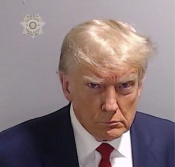therealleecrew's tweet photo. I stand with President Trump, do you? https://t.co/PYVDHONkjS