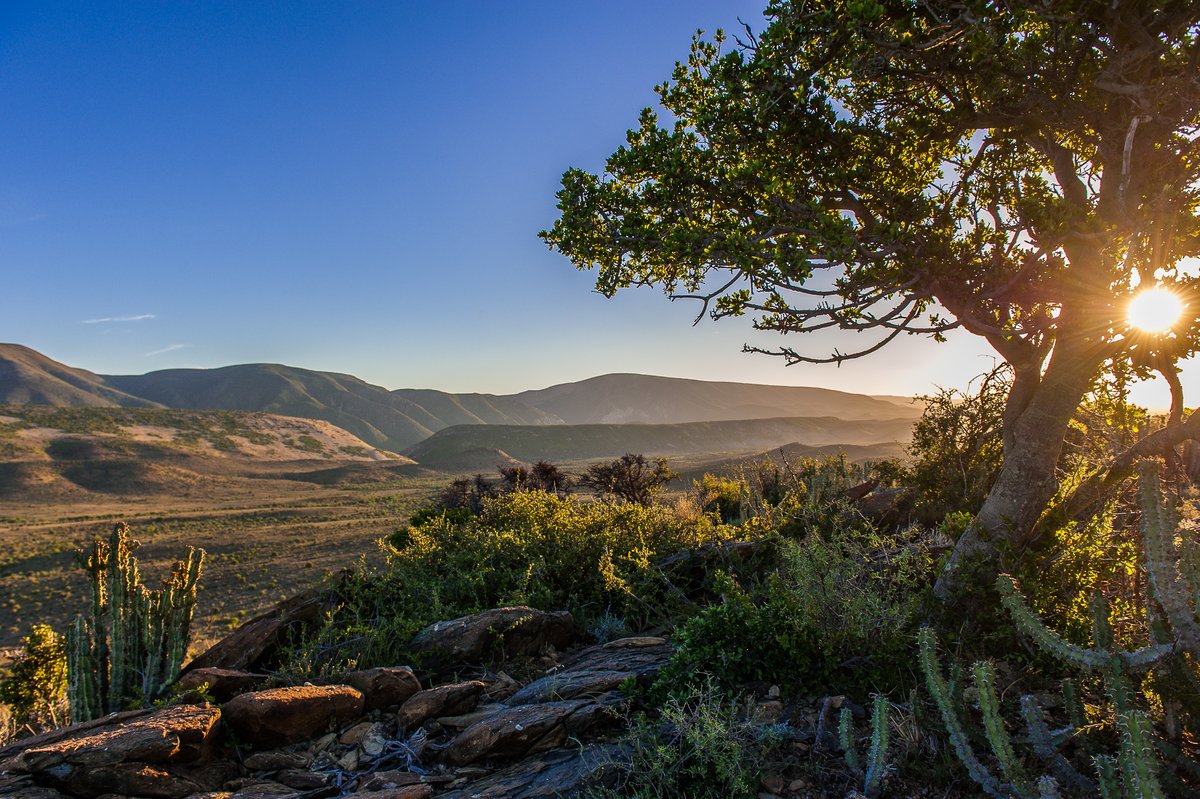 addotourism's tweet photo. Hooray! @SANParks Week will be celebrated from 18 to 22 September in @SANparksAENP SA citizens receive free entry to the park during this period &, with so much of #Addo to explore, you'll want to stay for a bit. https://t.co/qSn0eOFICR
#SANparksWeek #AmazingAddo #LiveYourWild https://t.co/Pt3BVnkpjm