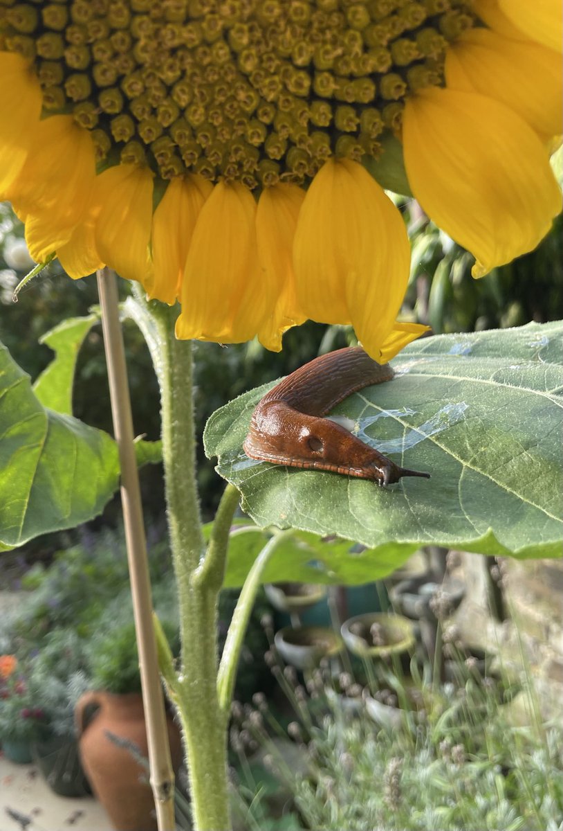 Julian Clary tweet media