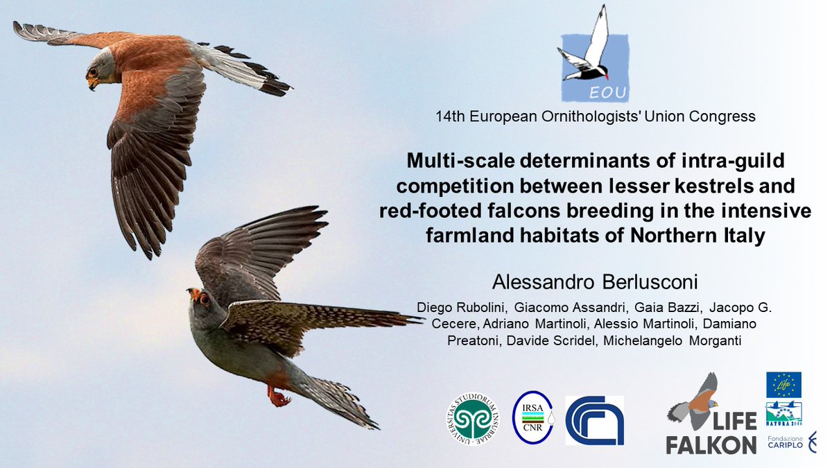 Alessandro Berlusconi tweet media