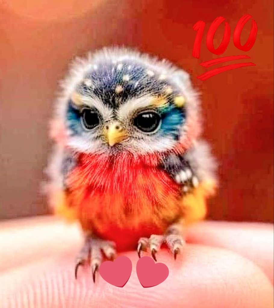 #FelizFinDeSemanaATodoTW
#25Agosto ♥️🦉♥️🦉♥️
@YesikaBuhos