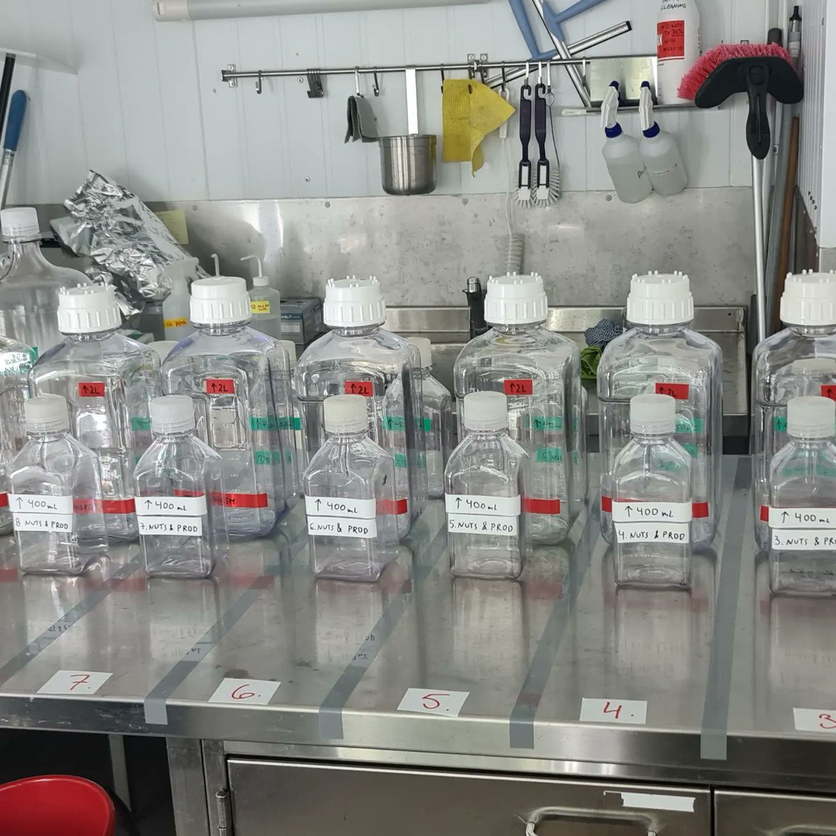 mirta_smodlaka's tweet photo. Impact of heat waves on #phytoplankton - experiment going on at @aquacosm @SYKEint thank you. @CIMrovinj https://t.co/Go4veAWLmC