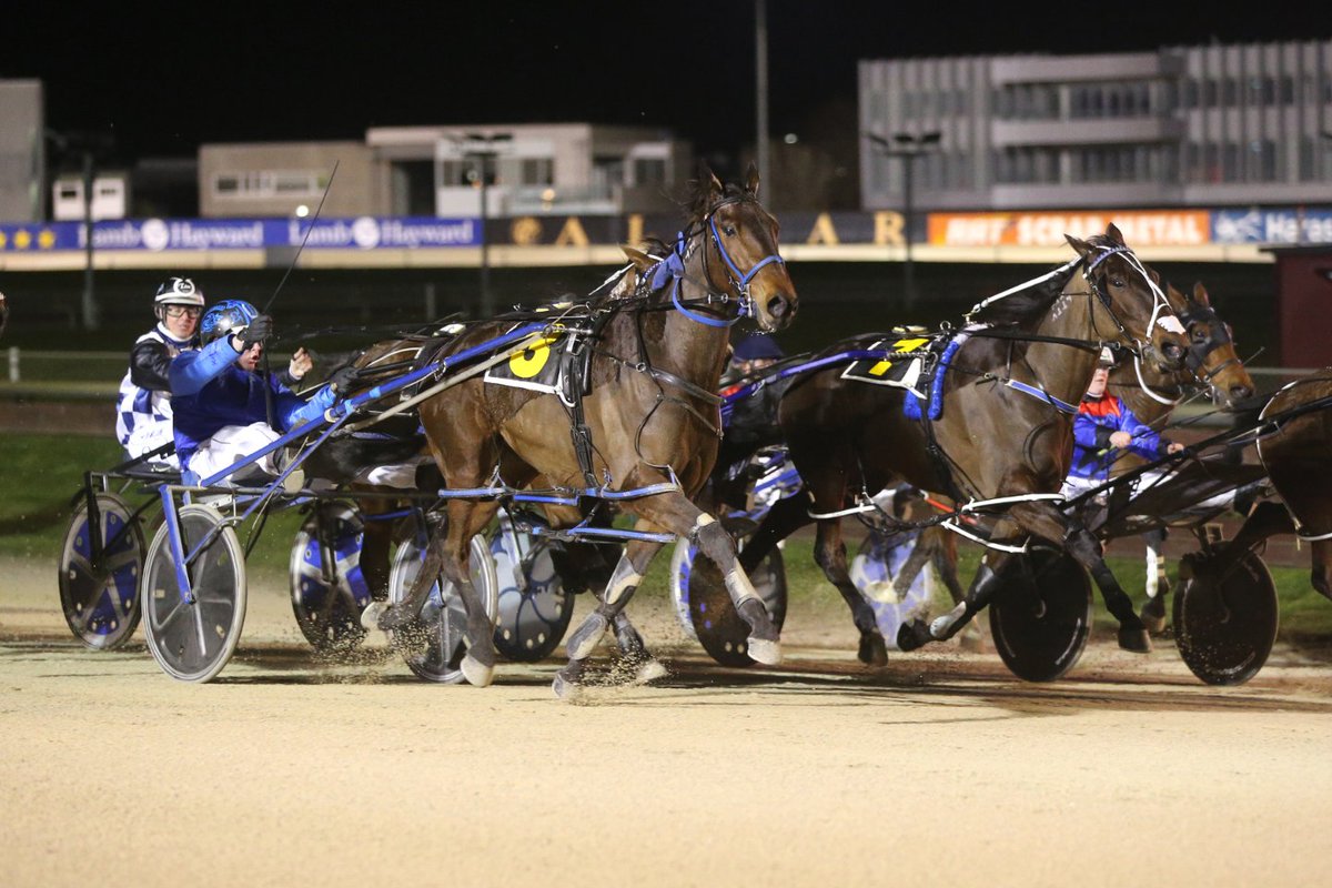 HarnessRacingNZ's tweet photo. MOSSDALE BEN continues his fantastic week by winning the Kurow Cup last Sunday and taking out the Group 3 Allied Security Maurice Holmes Vase at @AddingtonNZ  tonight!

#roadtothecup23 #groupracing https://t.co/nc077wnRla