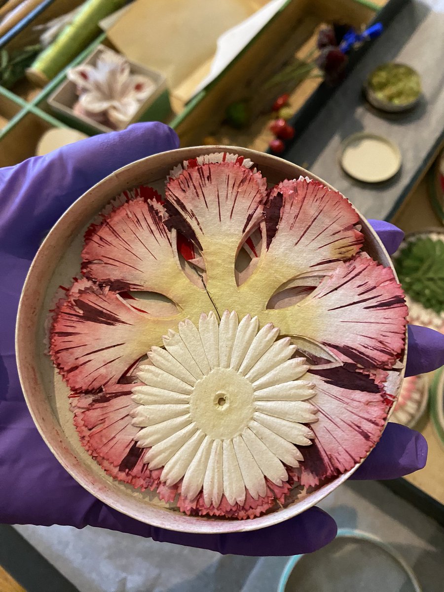 Zara Kesterton tweet media