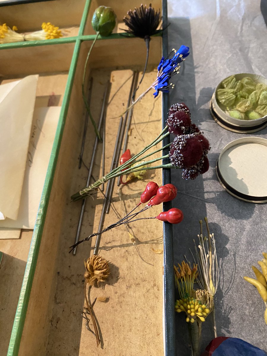 Zara Kesterton tweet media