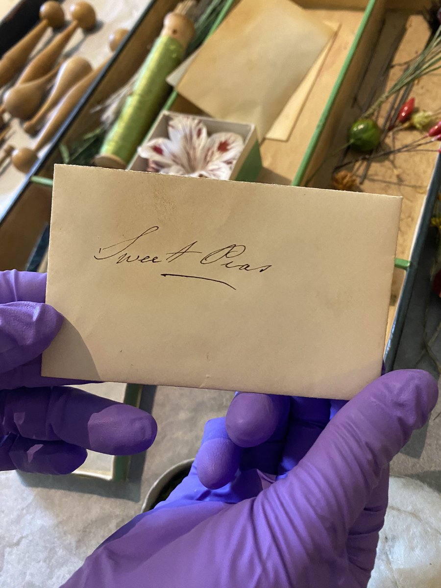 Zara Kesterton tweet media