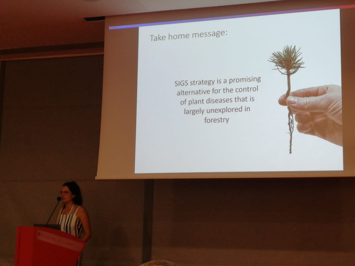 BocosIrene's tweet photo. Very happy to be presenting our research about the use of SIGS against forest diseases at the international congress of plant pathology #ICPP2023 in Lyon. What a week! 🌱🧬🌲🦠🔬💚
@forestpatuva https://t.co/qpvDdiDjdi