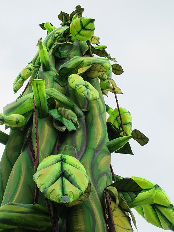 theillusionists's tweet image. This is our self supporting GIANT beanstalk, with a height of 14 metres tall and a diameter of over 2 metres. It does not require any wires and towers over everything; we have a number of these to suit any size of venue! 🫘🌱
Often imitated, never duplicated…
#beanstalk #panto