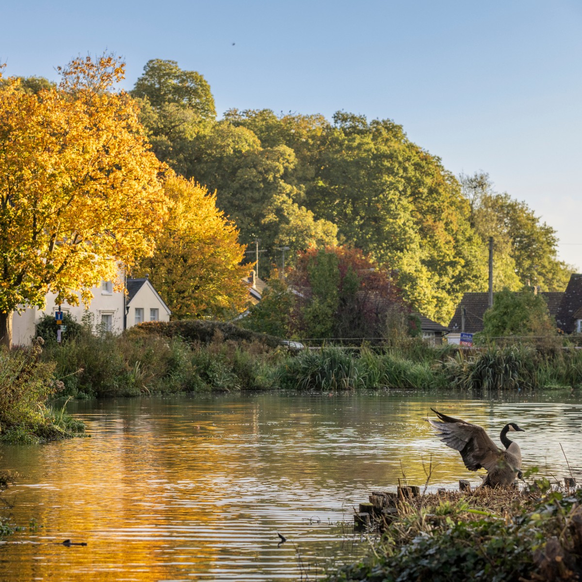 Visit Midhurst tweet media