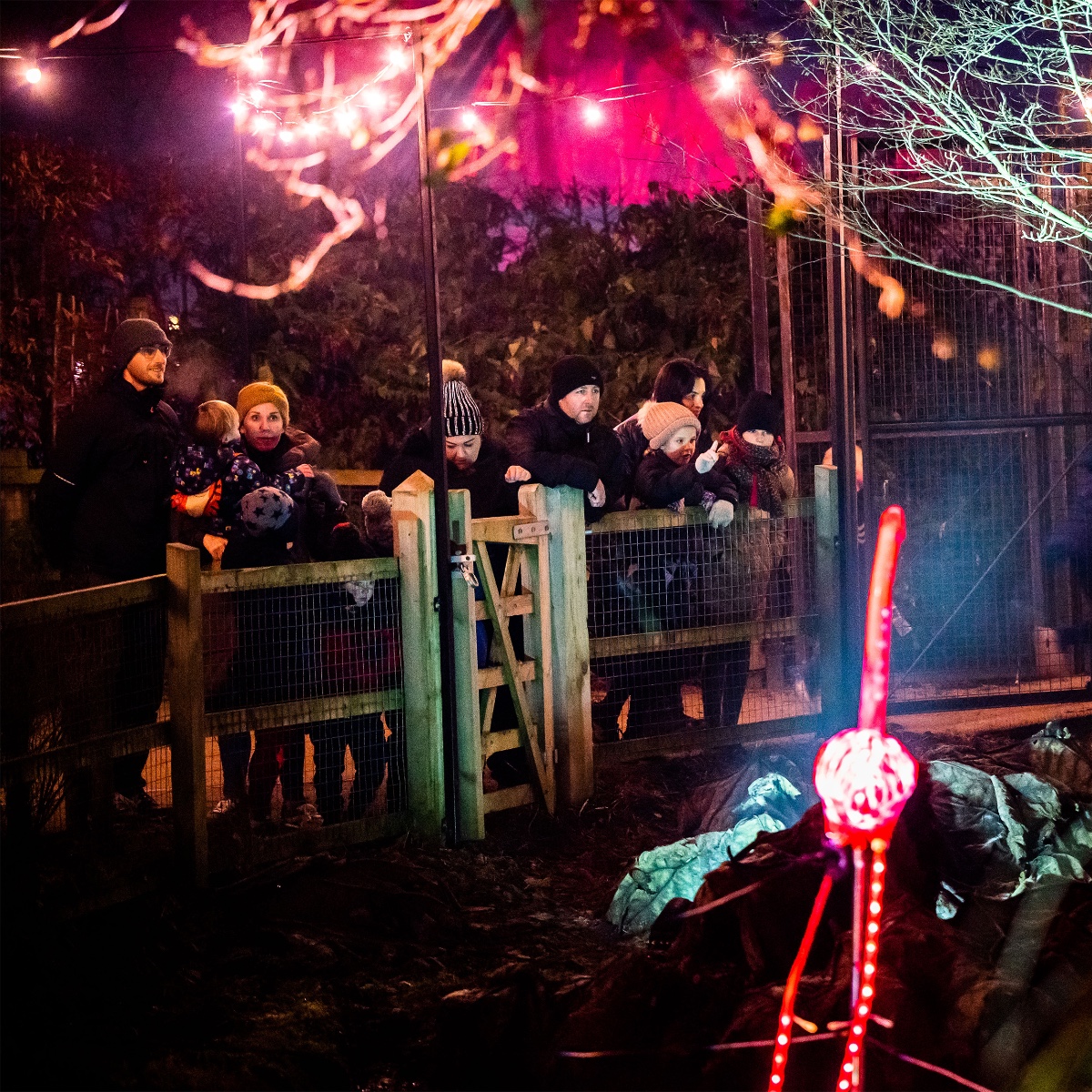 🌟 Enchanted tickets are now on sale! Book now for a truly magical adventure, as Enchanted returns to brighten your winter nights. We're thrilled to unveil our NEW rainbow road, Knowsley Northern Lights and illuminated hippos! 🌈 🎟 Tickets this way: brnw.ch/21wBYMQ