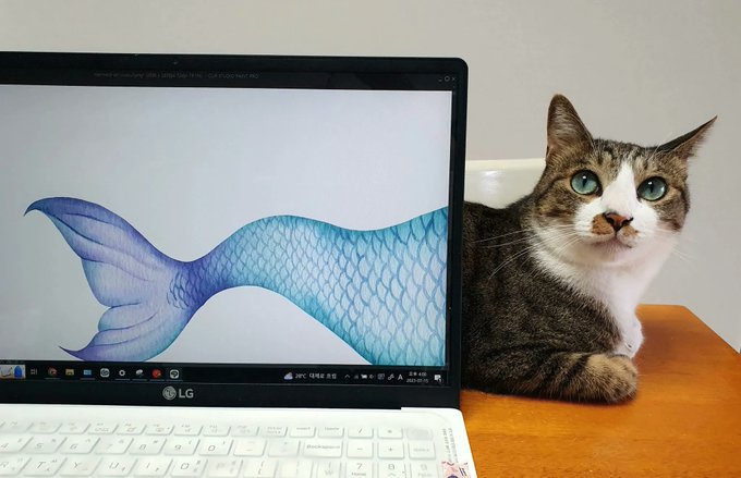 cat head and front paws seen from coming from behind a laptop that has a fish tail wallpaper that seems to be the rear part continuation of the cat.