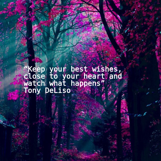 Qu0tes108's tweet photo. 📖“Keep your best wishes, close to your heart and watch what happens”
🖋Tony DeLiso
🏠#goodquotesdaily | #goodreads | #TonyDeLiso https://t.co/HTOTSPX3bQ