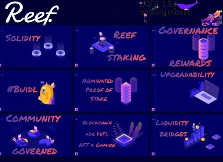 reef_russia's tweet image. #ReefChain — это волна, движение людей , прозрачность, суверенитет, конфиденциальность, права, достоверность, подлинность и создание свободного мира для человечества в целом!
#BuidltheReef
Следите за #Reef_Chain оставайтесь с #REEF
Впереди вас ждут много интересных новостей;)