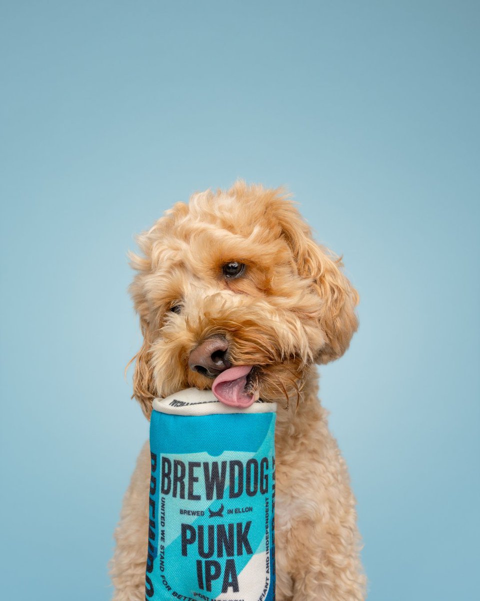 BrewDog's tweet photo. Just brightening your Friday. https://t.co/O4S3zIXhrg