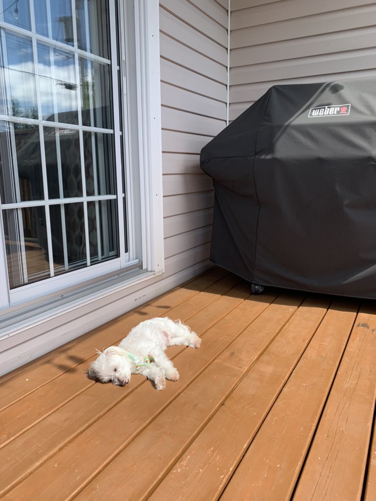 Kay Campbell tweet media