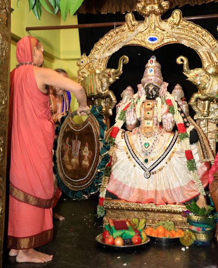 neelabala's tweet image. चन्द्रां प्रभासां यशसा ज्वलन्तीं श्रियं लोके देवजुष्टामुदाराम् ।
तां पद्मिनीमीं शरणमहं प्रपद्येऽलक्ष्मीर्मे नश्यतां त्वां वृणे ॥