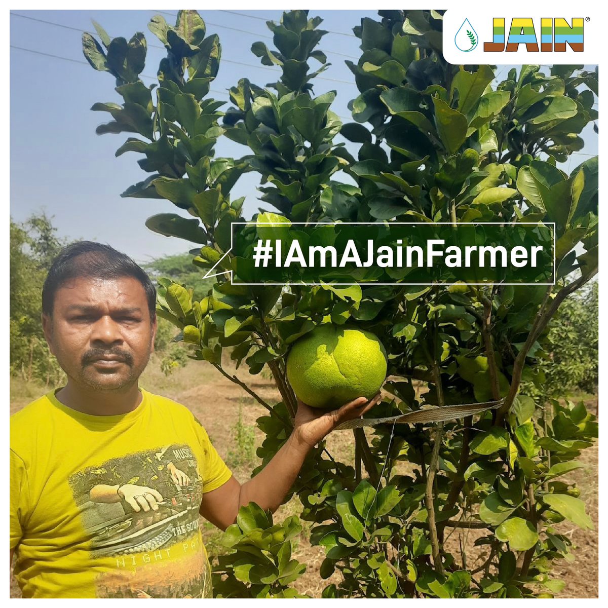 Bulkier yields with an assurity of Bulkier profits?
Only feasible with plantation of #JainTissueCulture “Sweet Orange” plants! 🍊 

#IAmAJainFarmer
#Agriculture #AgTech #JainIrrigation #SweetOrange #Orange #JainTC #JISL