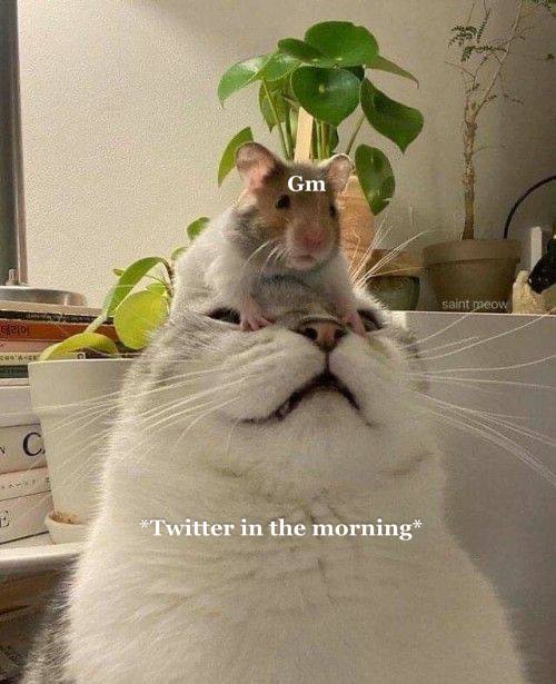 keih.nft {💧} tweet media