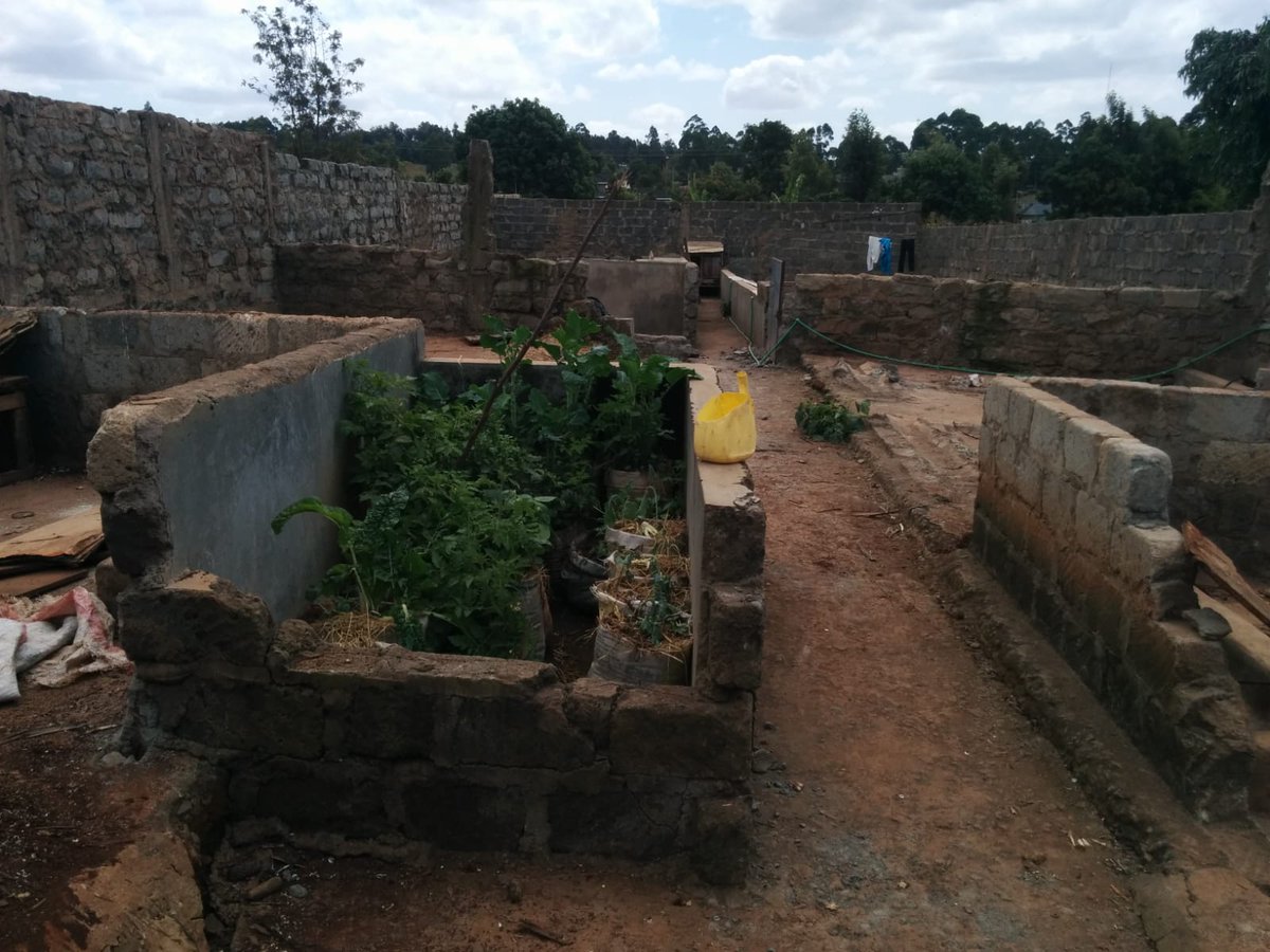 SVL_Ke's tweet photo. Prime 1/2 Acre Parcel located in Gikambura. Asking Price. Kshs. 18M For more information contact us on +254 720 339 457 | 722 295 694 | 794 205 382 #KenyaVsTanzania #CharityNgilu #GovernorSakajaJohnson #Maandamano #Naivas #JesmaTwitter #Chebukati #Baba #Teacher https://t.co/opDV92xsDX