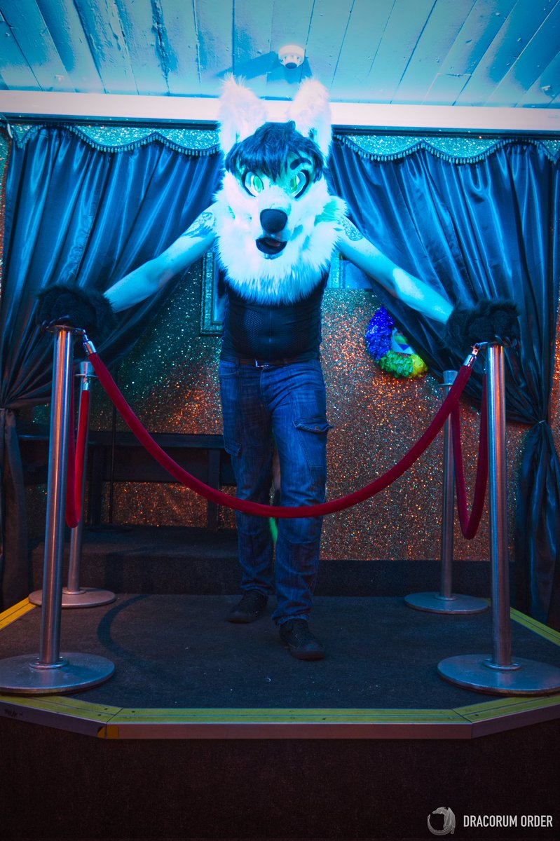 Let the show begin 😎

Happy fursuit Friday
#FursuitFriday #furryfandom