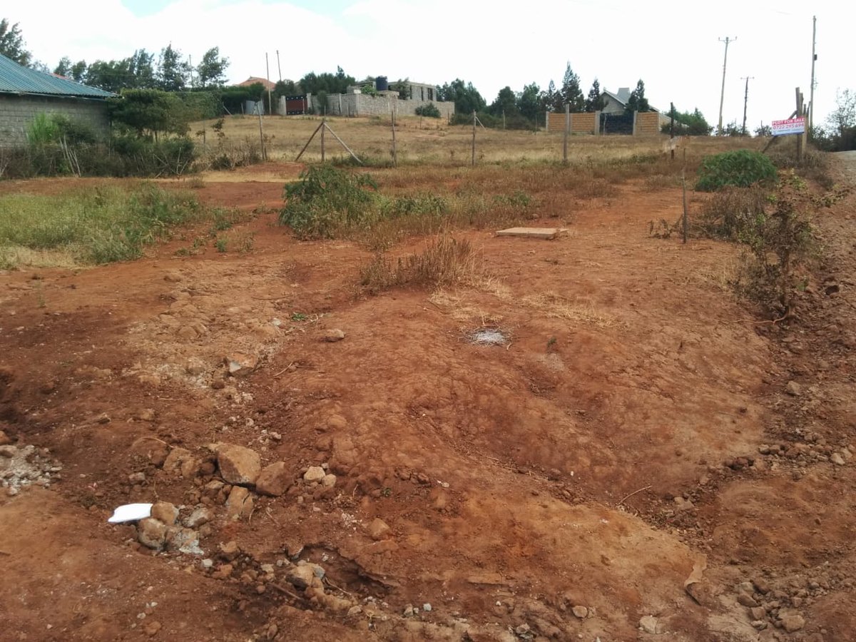 SVL_Ke's tweet photo. 100x100 prime plot for sale at Matasia, Kajiado County. Asking Price, Kshs. 3m For more information contact us on +254 720 339 457 | 722 295 694 | 794 205 382 #KenyaVsTanzania #CharityNgilu #GovernorSakajaJohnson #Maandamano #Naivas #JesmaTwitter #Chebukati #Baba #Teacher https://t.co/vCnktrzdXE