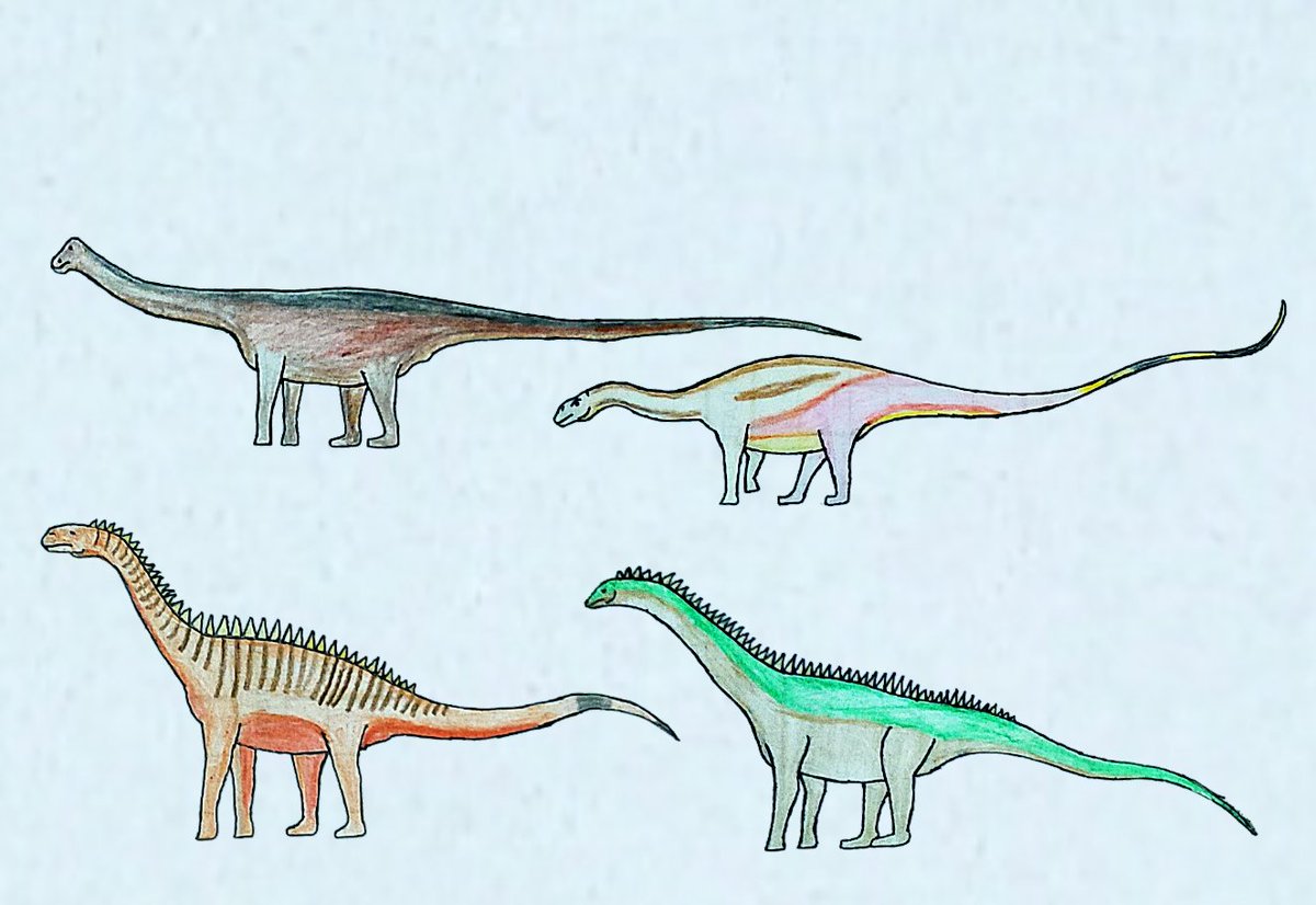 trmd350's tweet photo. Four Large Sauropod.
Dicraeosaurus Isisaurus Jobaria And Nigersaurus
#Isisaurus #Dicraeosaurus
#Nigersaurus #jobaria #Paleoart #Mesozoic #Prehistoriclife #Dinosaurs https://t.co/4L37ovNYgW
