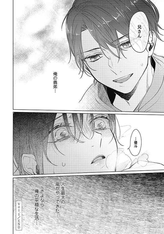 自分を嫌っていたはずの義弟から激しく求愛される話(弟×兄)(9/9) 