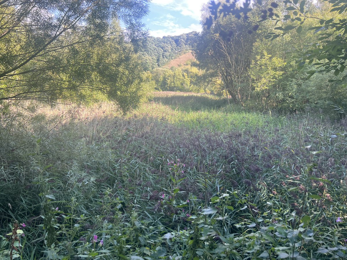 alexsobel's tweet photo. Excellent visit to Cromwell Bottom Nature Reserve with @cbwgrp and @Calderdale

Shows what can be done with landfill and industrial sites creating a wealth of biodiversity and natural carbon storage

Really interesting plans to rewet the lagoon which would also alleviate flooding https://t.co/0DHziFl6Jv