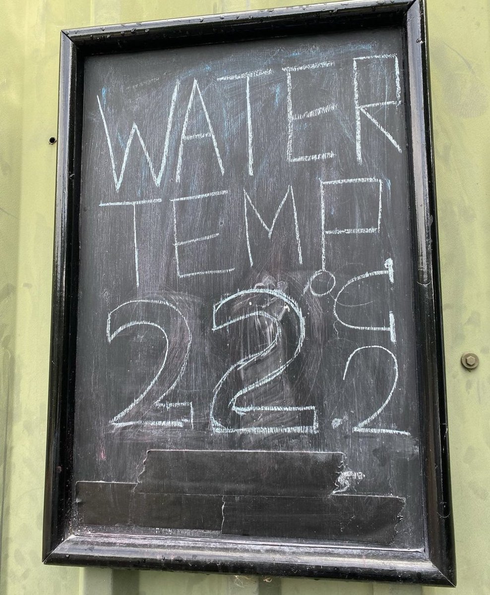 lifeguards tweet media