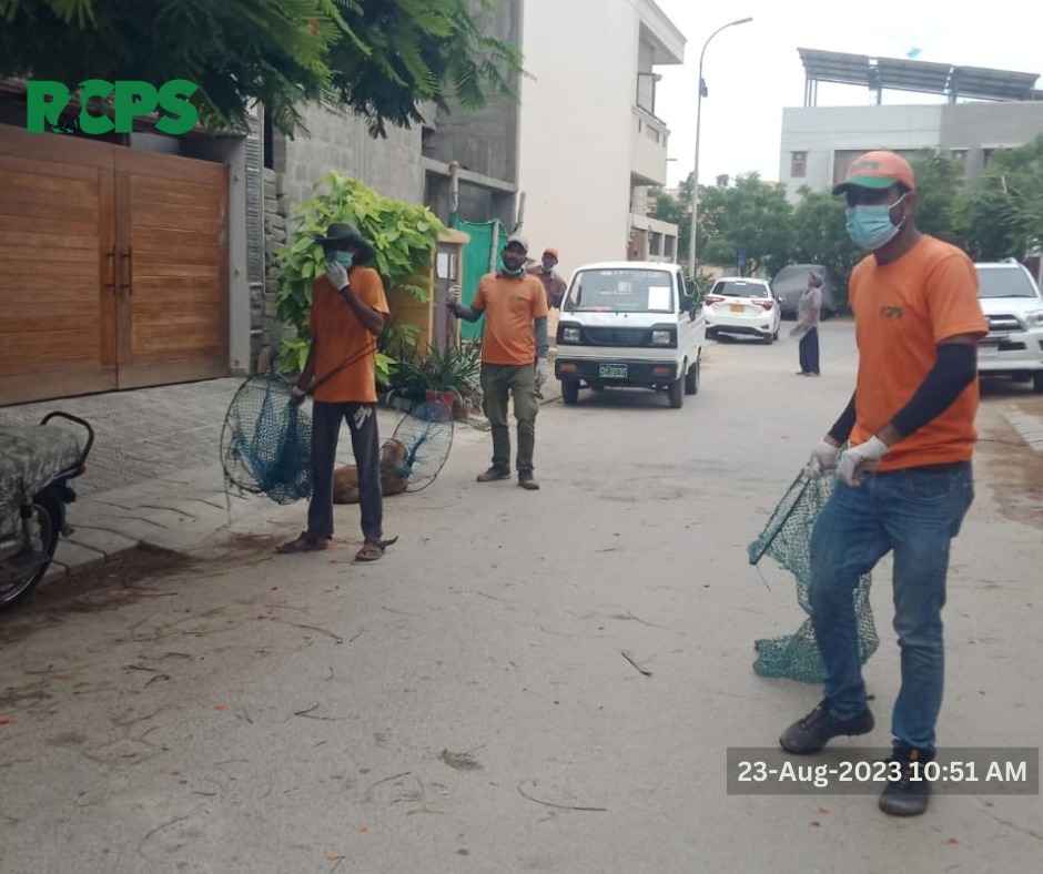 RCPSindh's tweet photo. Day 442 ~ ✅ Catch ✅ Vaccinate ✅ Collar ✅ Mark ✅ Record

"Together against Rabies: Let's Make Our Communities safe and Healthy"

📍 Khayaban-e-Khyber Street 18, 19 and 20 and around DHA phase 8, District South, Karachi.

#rabiescontrolprogramsindh #RCPS #ZeroBy30 https://t.co/2Pkyt0aiIs