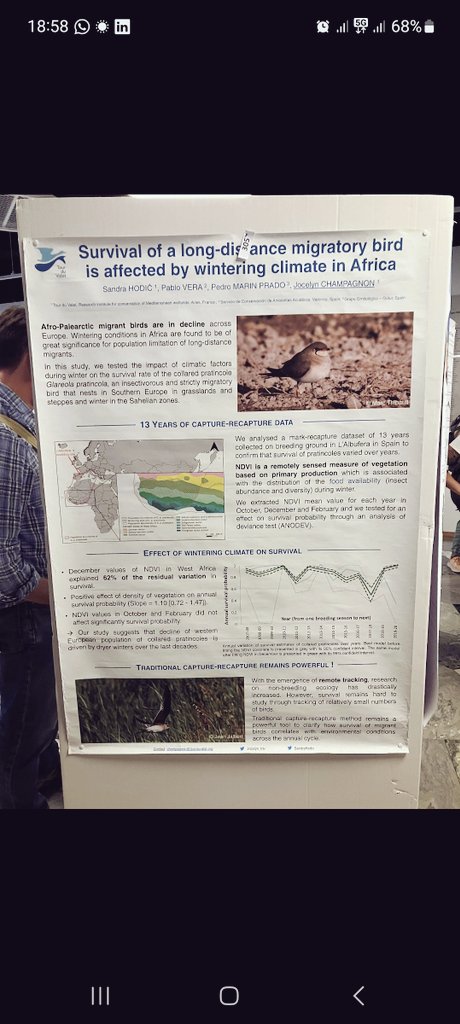 EOU conference in Lund, unfortunately not there but I am proud of this! #Poster305
Thanks to <a href="/zsof_toth/">Zsófia Tóth</a> for pic! 😊
@Jocelyn_tdv <a href="/TourduValat/">Tour du valat</a> 
#EOU2023