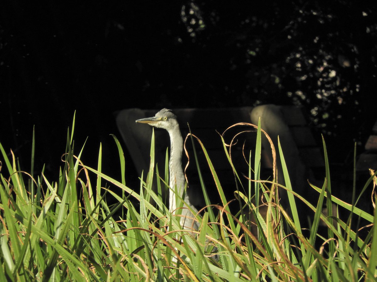 Phil Bull tweet media