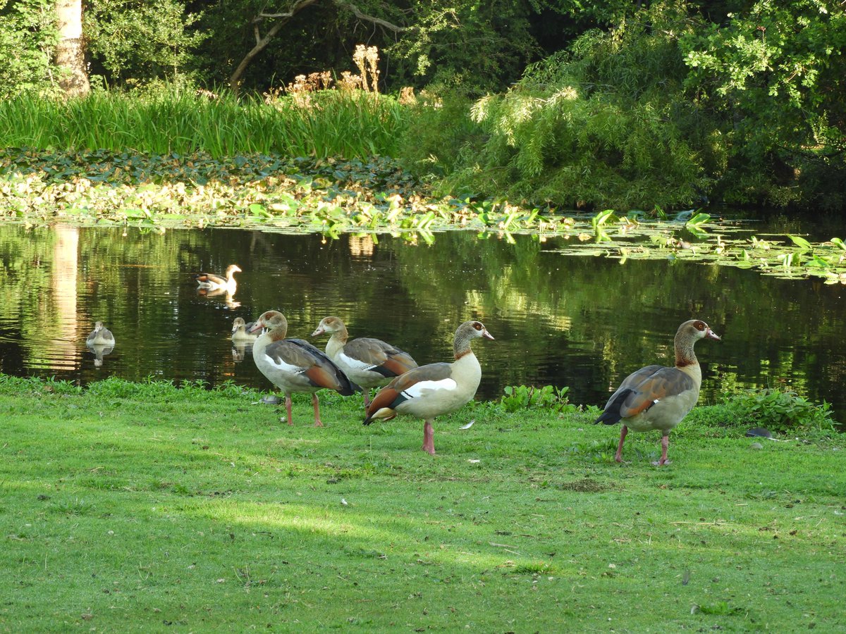 Phil Bull tweet media