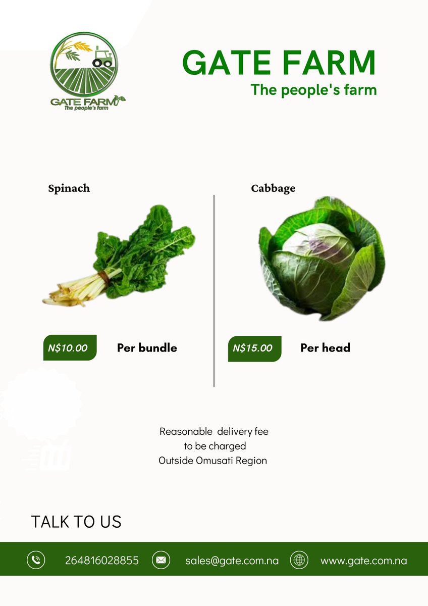 Happy Friday folks🤗..We are harvesting spinach and cabbages. We're just a few kilometres from Outapi. Don't hesitate to contact us for your orders🙏. 
#gatefarm #agriculture #harvest