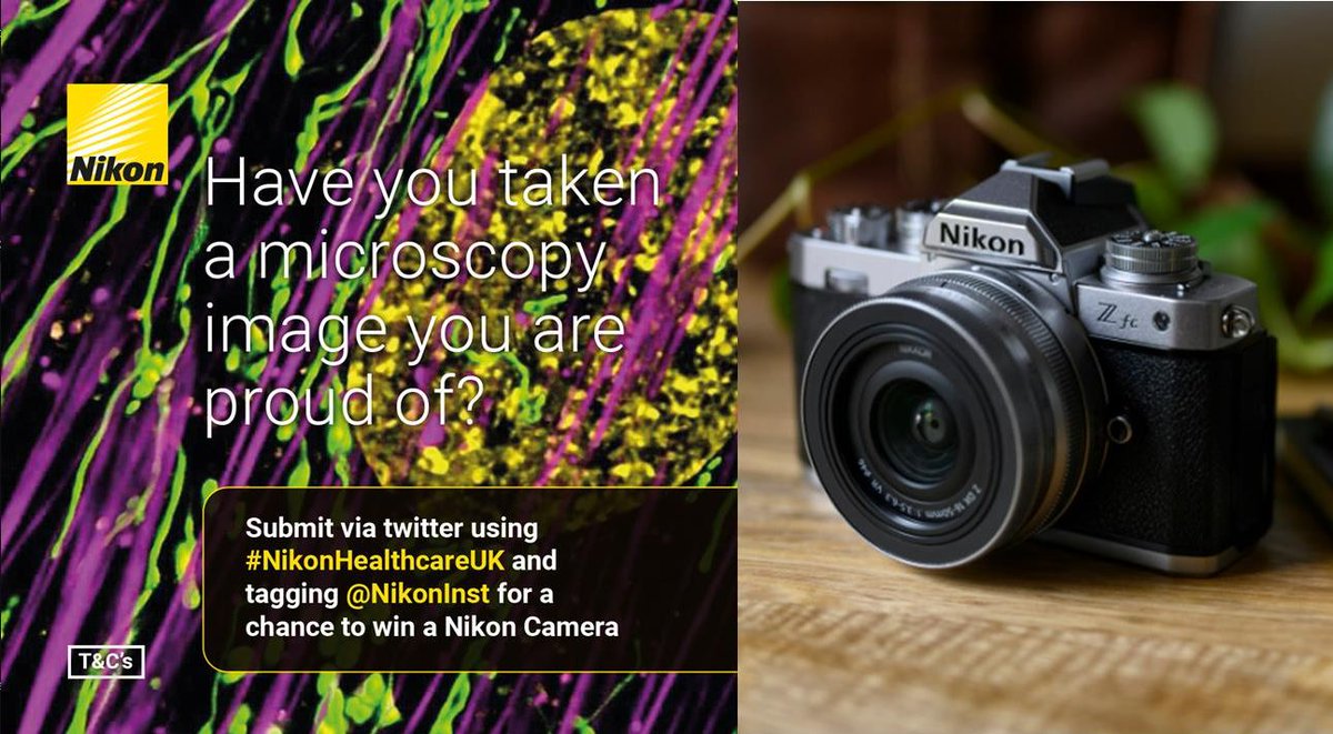 Joe_Airey's tweet photo. Hello #Microscopy  twitter. Nikon are running an image competition with a chance to win a Nikon Z Fc camera! Simply:
1. Tweet image
2. State Nikon microscope used
3. Include #NikonHealthcareUK and @NikonInst

T&amp;Cs: https://t.co/n6AhvA5l1r
UK residents, incl. Northern Ireland only https://t.co/64e3zMX3ux