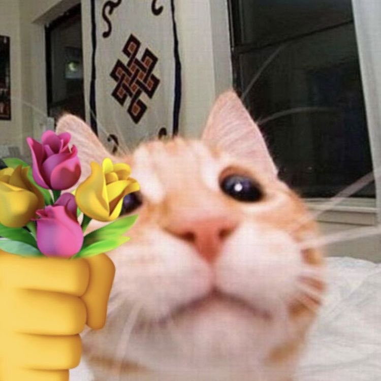 gottinyy's tweet photo. Hi, i'm dodo and currently looking for interactive moots

not new to #kpoptwt and #stantwt  looking for deobis , atiny,  treasure makers , ID.ahgases .selenators moots but any multi stans are welcomed here 🥰 

Rt&amp; like are highly appreciated 💗 https://t.co/yYGC2qnL6Q