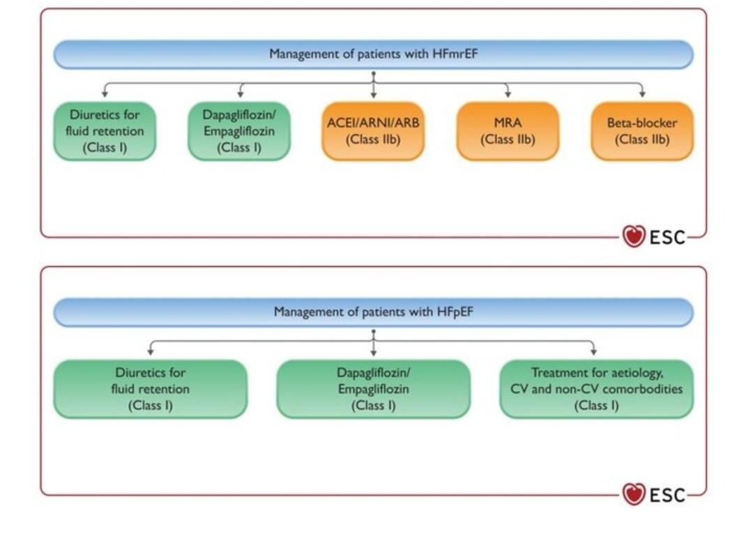 Out now focused #Heartfailure guidelines update from 2023 live at #ESCCongress 🏥 💊 SGLT-2 inhibitors now class I recommendation in HFmrEF AND HFpEF! Finally a therapy @FudimMarat @PhilippLurz @BurkhoffMd @MarcoMetra @kp_rommel @RoschSeb @YoungDgk @thiele_holger @KardiologieHH